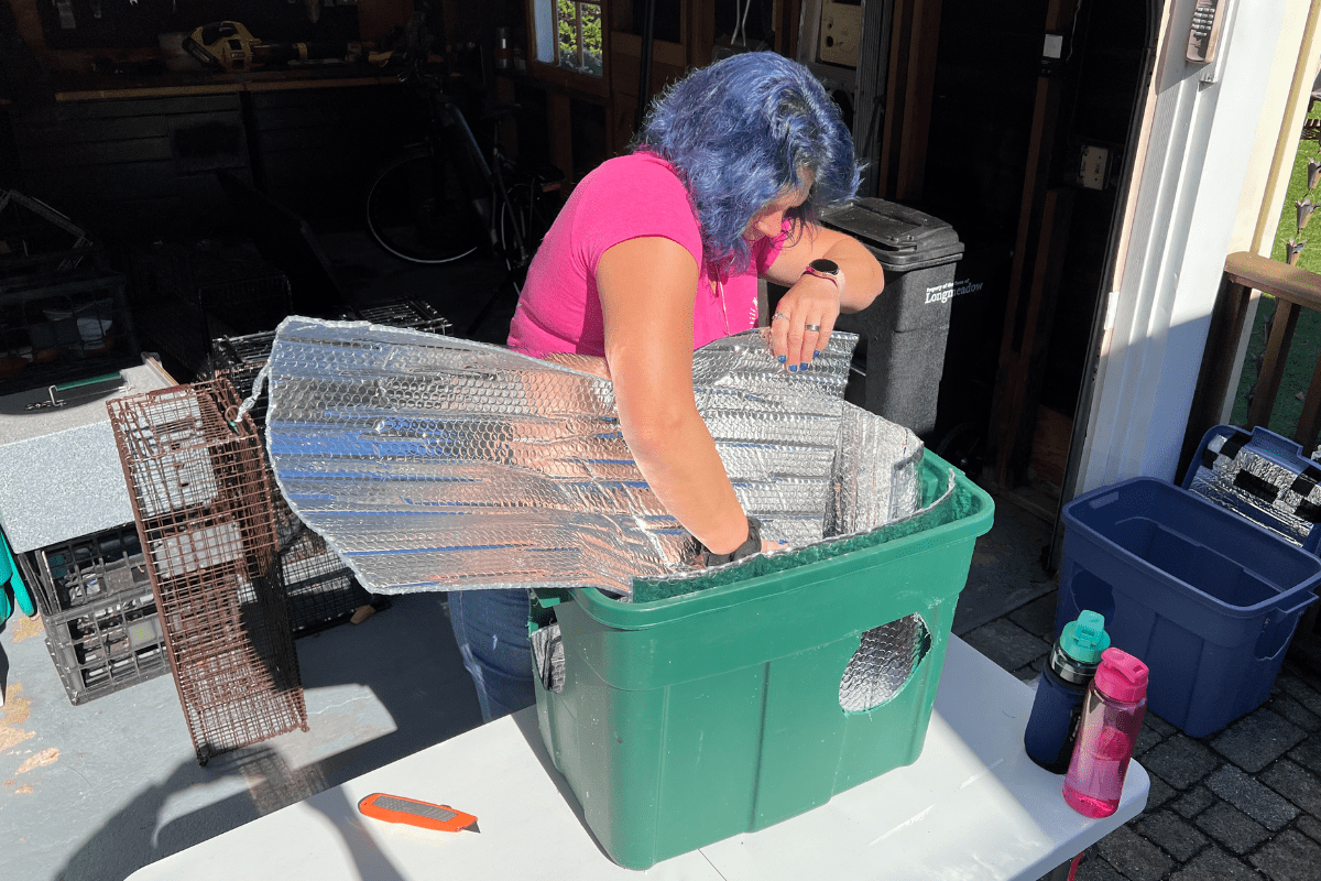 DIY Winter Shelters for Feral Cats Dakin Humane Society